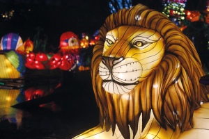 Magischen Lichterwelten