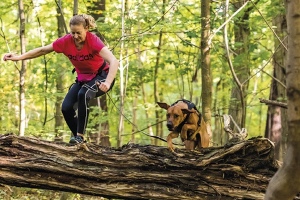Adventure Dog Race
