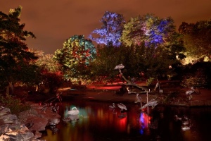 Zoonacht - Der Zoo erstrahlt in magischen Licht