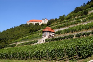 Weinbaugebiet Saale-Unstrut