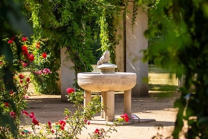 Froschbrunnen im Rosengarten Forst