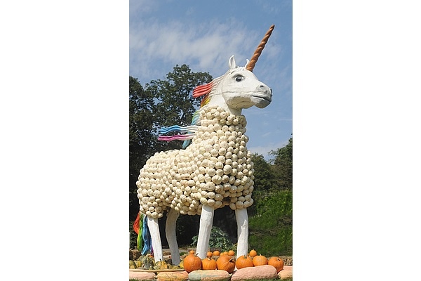 Einhorn