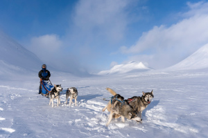 Huskytour auf dem Kungsleden