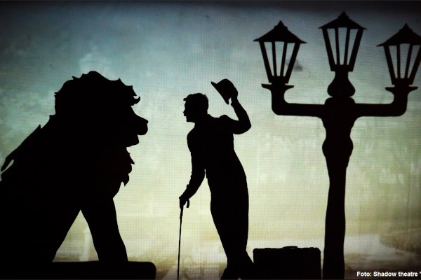 Amazing Shadows